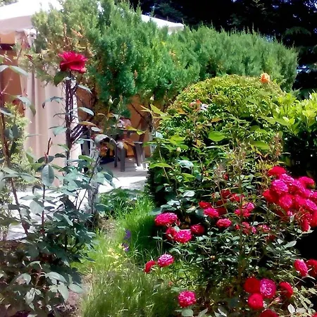 62a Doctor Luben Lazarov Street Apartment